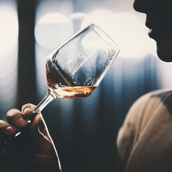 Understanding Wine Tasting: A Beginner’s Guide